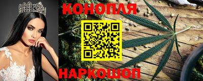 PSILOCYBIN Рыбинск